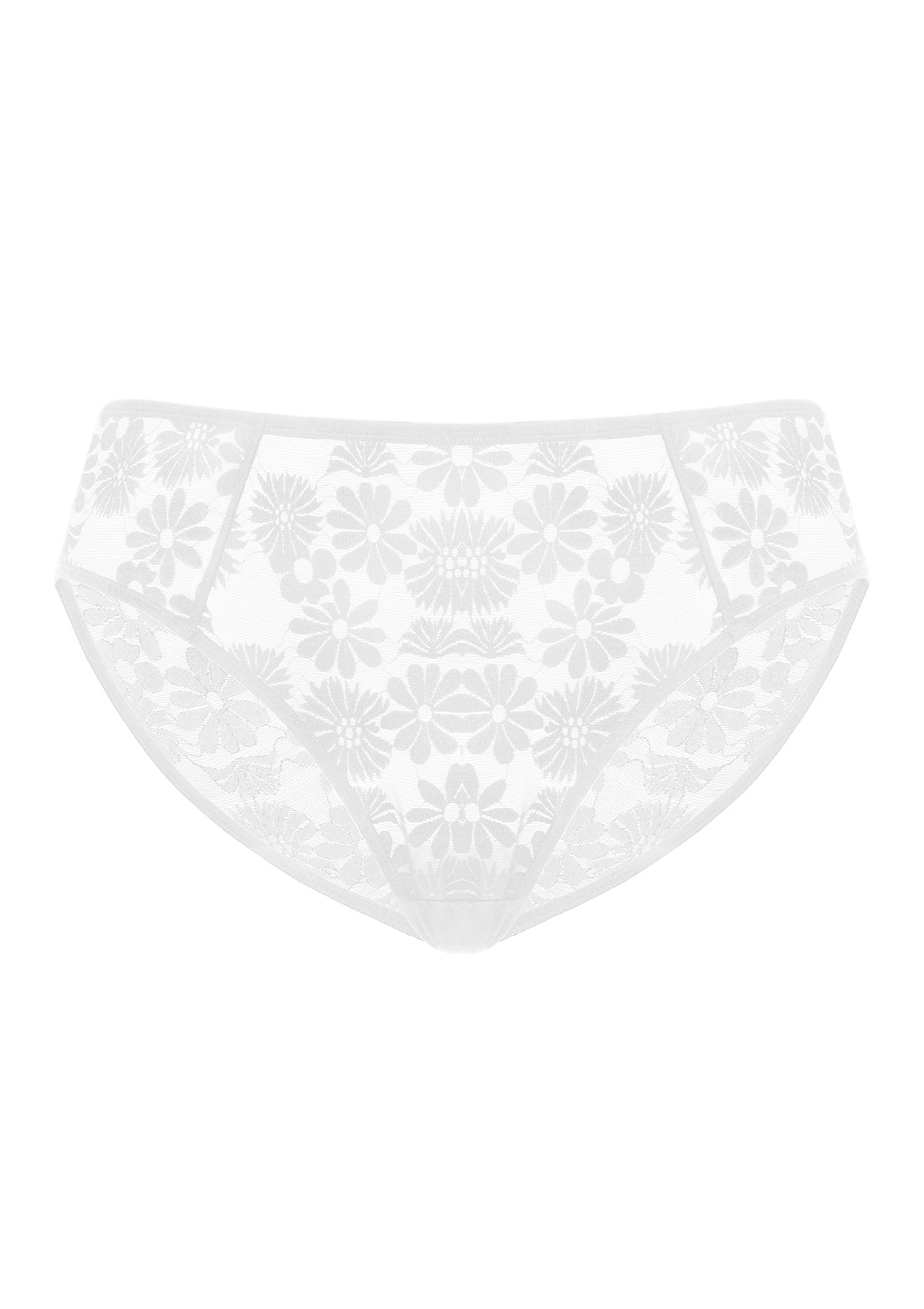 Daisy High-Rise Soft Comfort Lace Brief Underwear