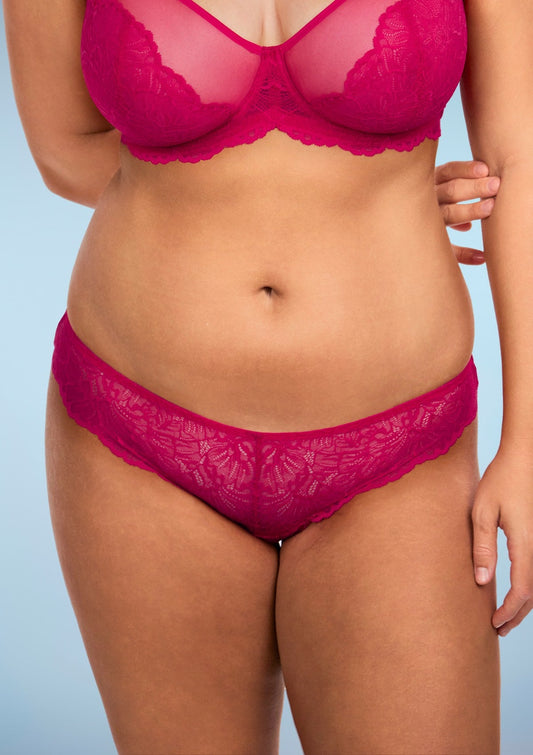 HSIA Blossom Lace Raspberry Bikini Underwear