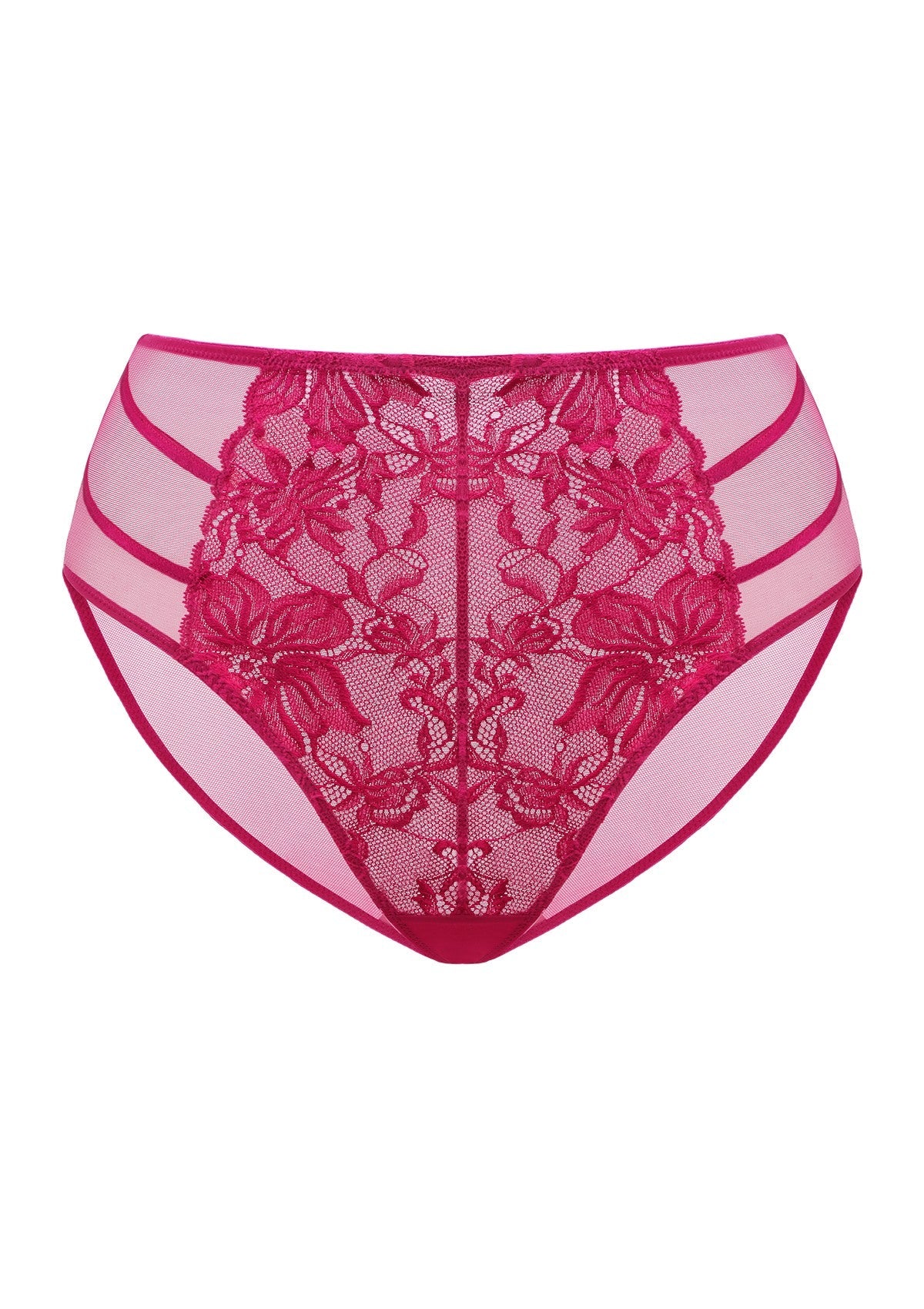 Pretty In Petals High-Rise Lace Brief Underwear