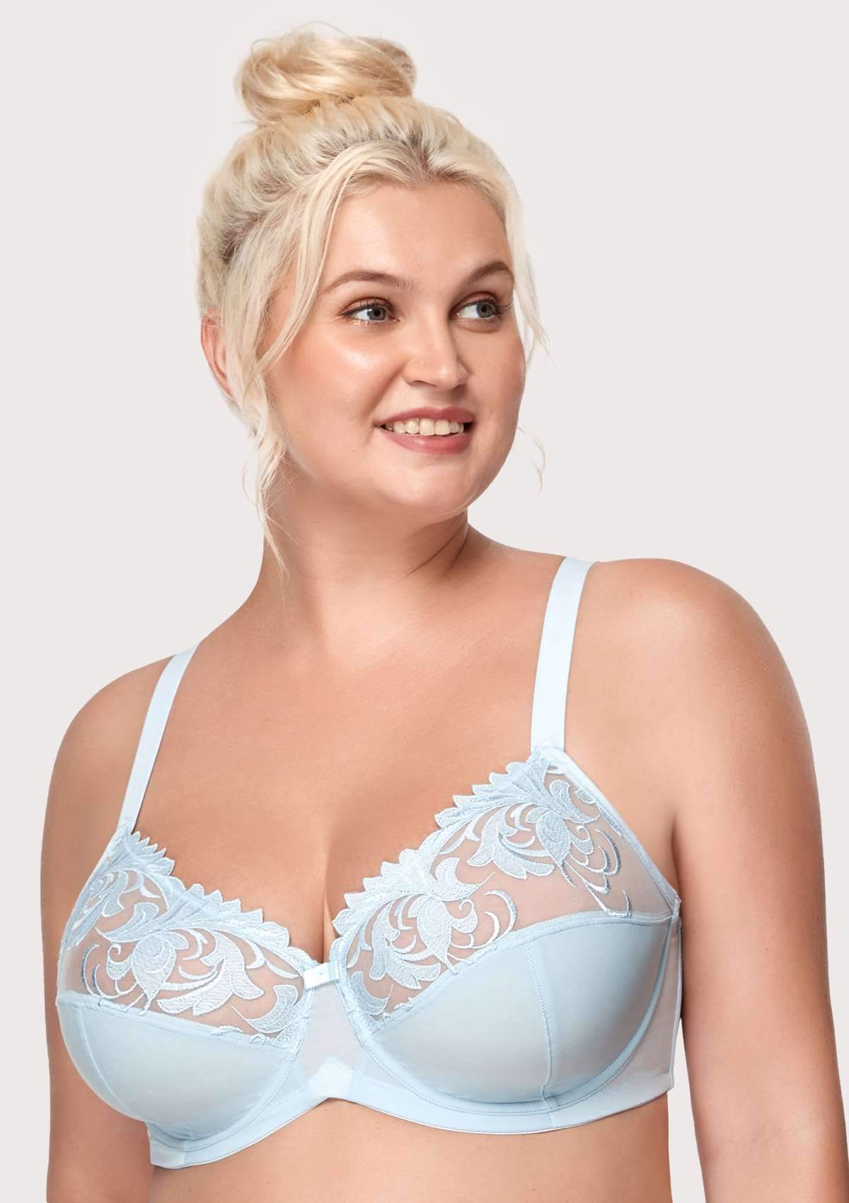 HSIA Embroidered Underwire Bra