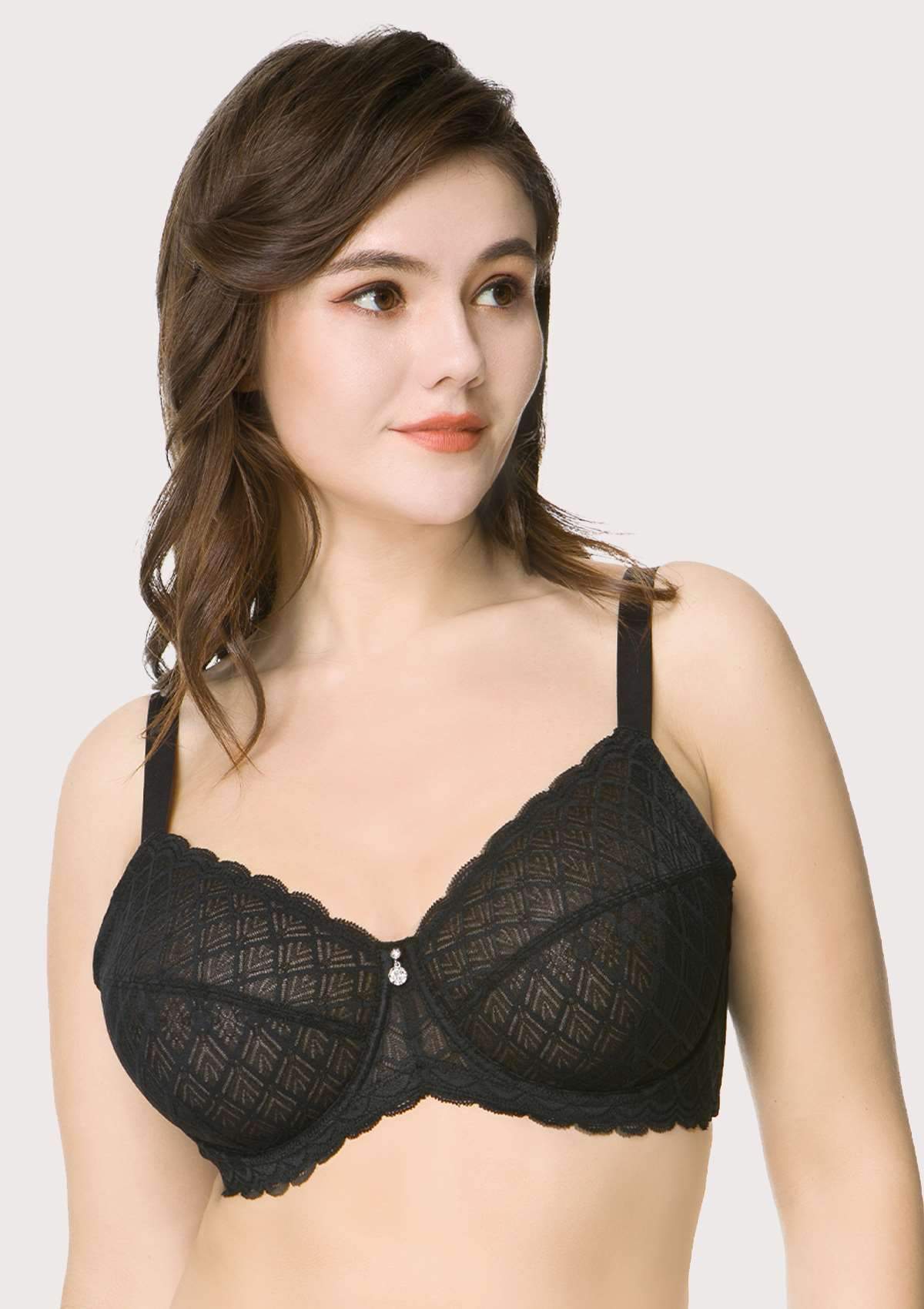 HSIA Plaid Lace Underwire Bra