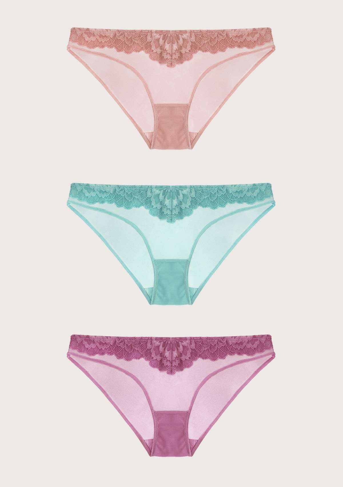 HSIA Peony Lace Bikini Underwear 3 Pack