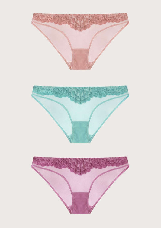 HSIA Peony Lace Bikini Underwear 3 Pack