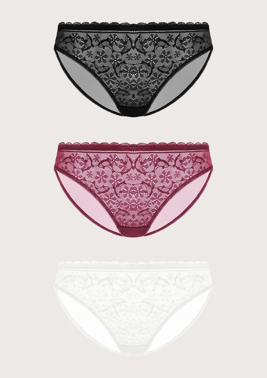 Anemone Lace Dolphin Panties 3 Pack