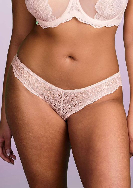 HSIA Blossom Lace Dusty Peach Bikini Underwear