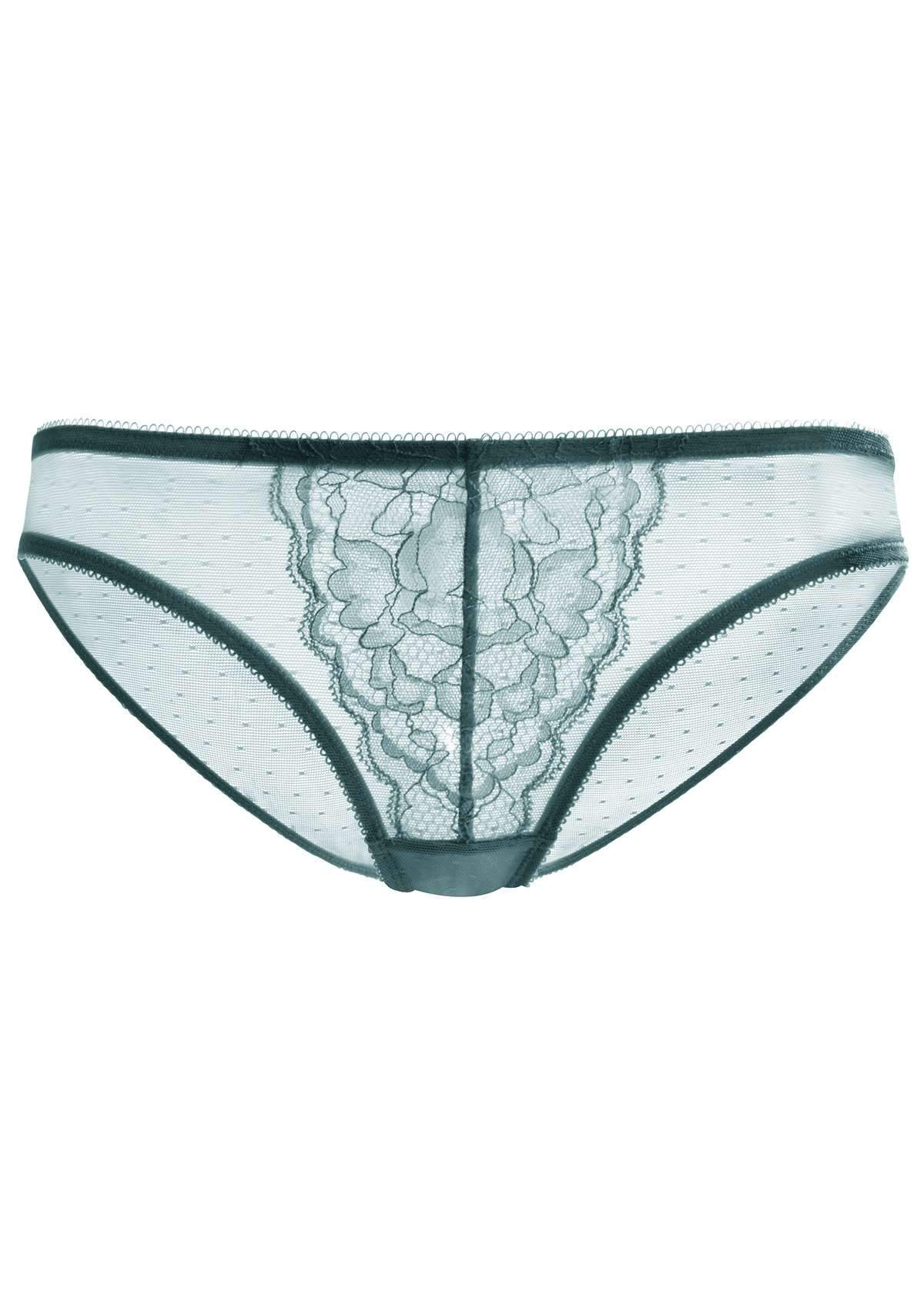 Enchante Lace Balsam Blue Bikini Underwear