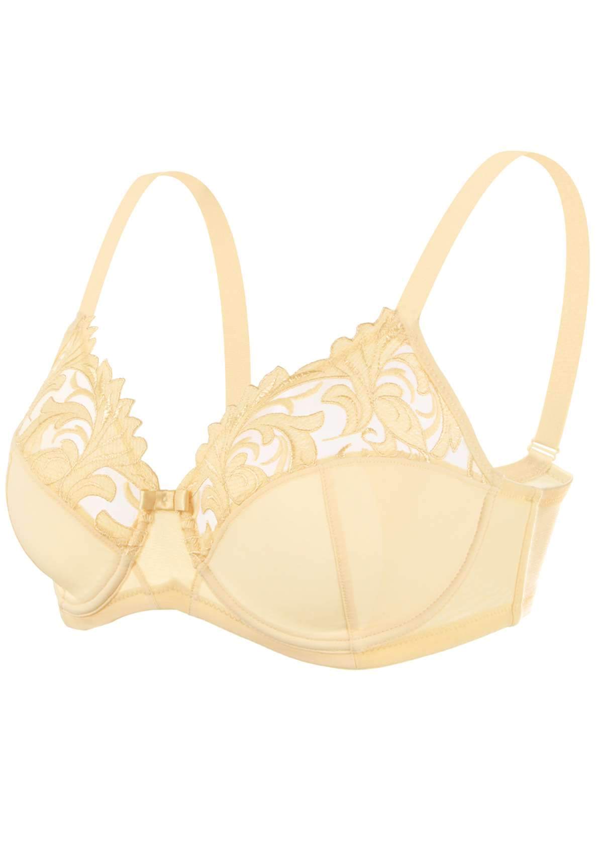 HSIA Embroidered Underwire Bra