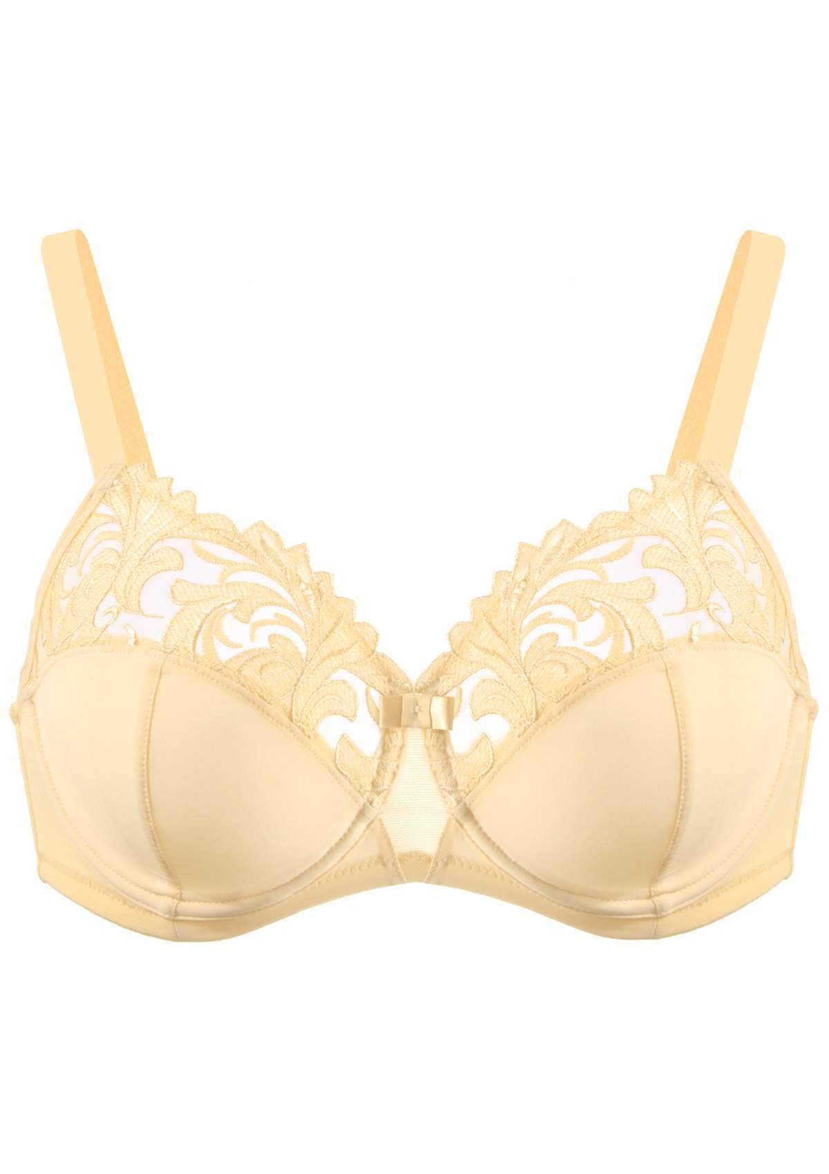 HSIA Embroidered Underwire Bra