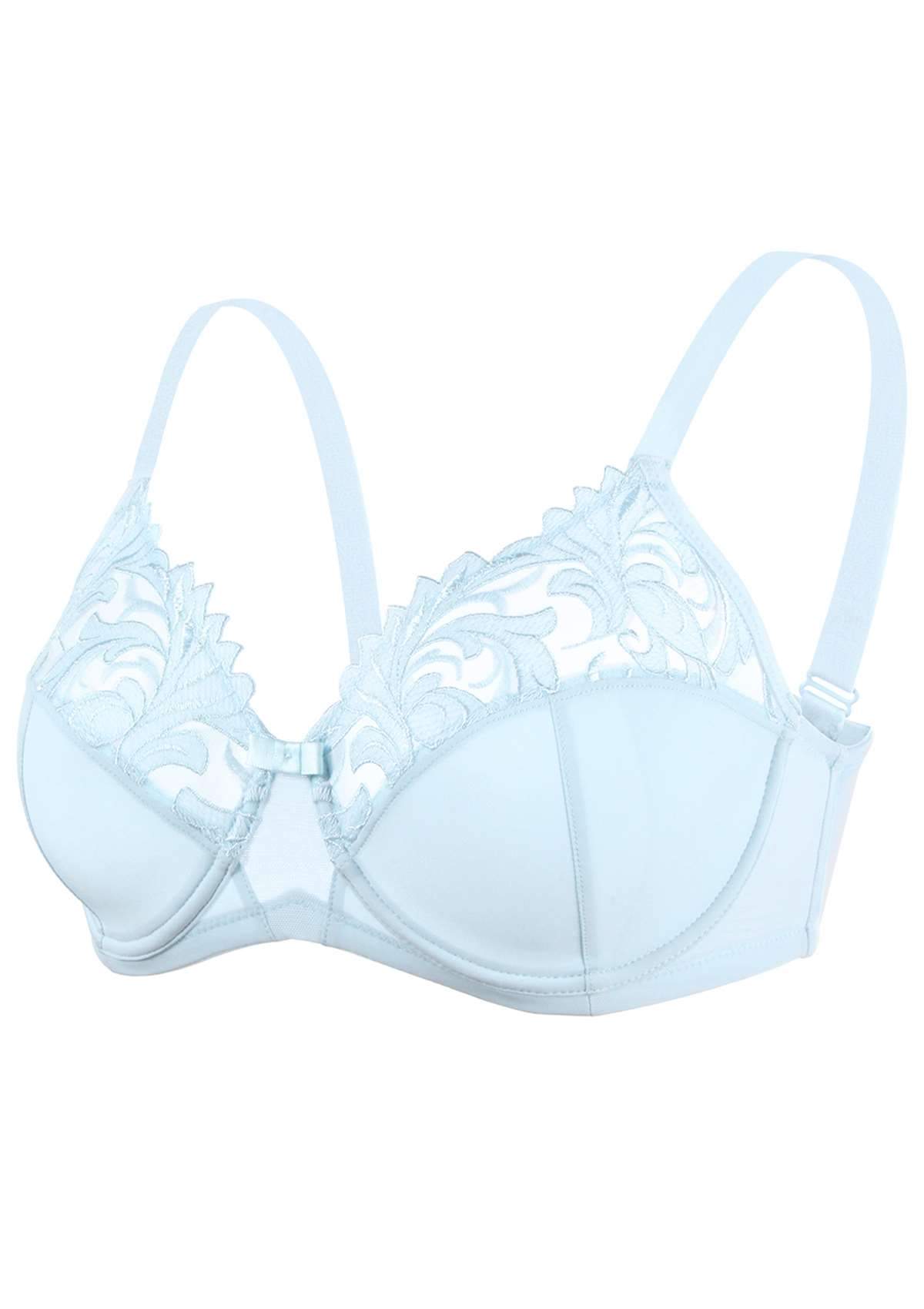 HSIA Embroidered Underwire Bra