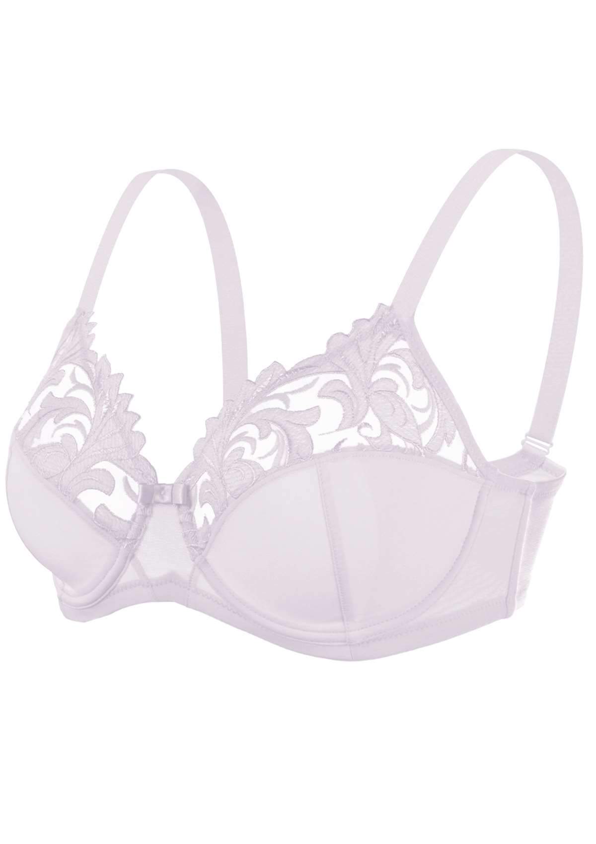 HSIA Embroidered Underwire Bra