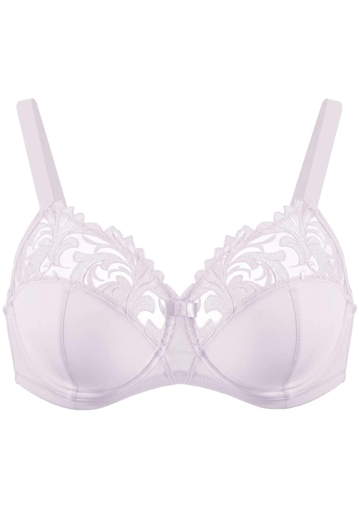 HSIA Embroidered Underwire Bra