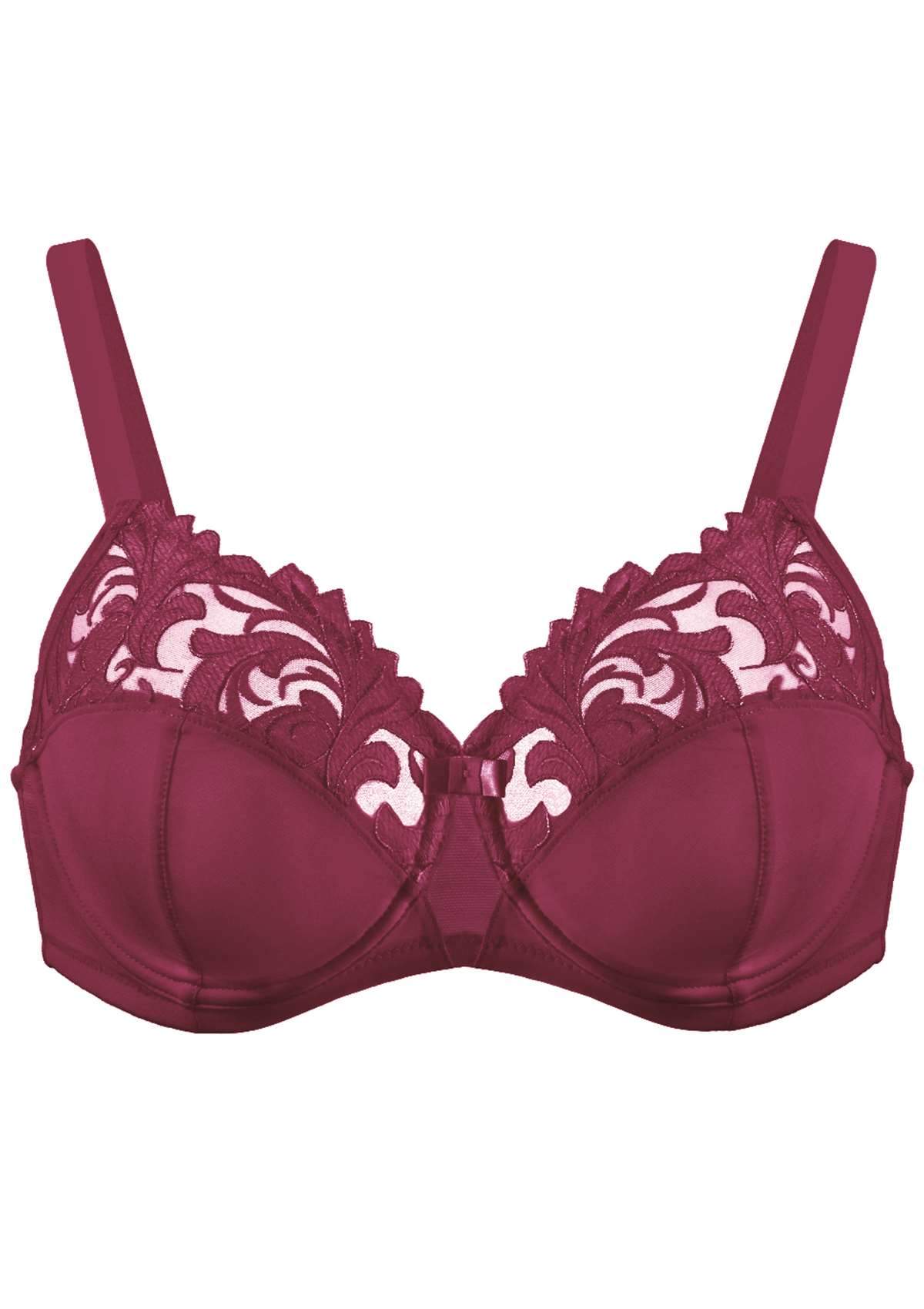 Gala Embroidered Unlined Bra