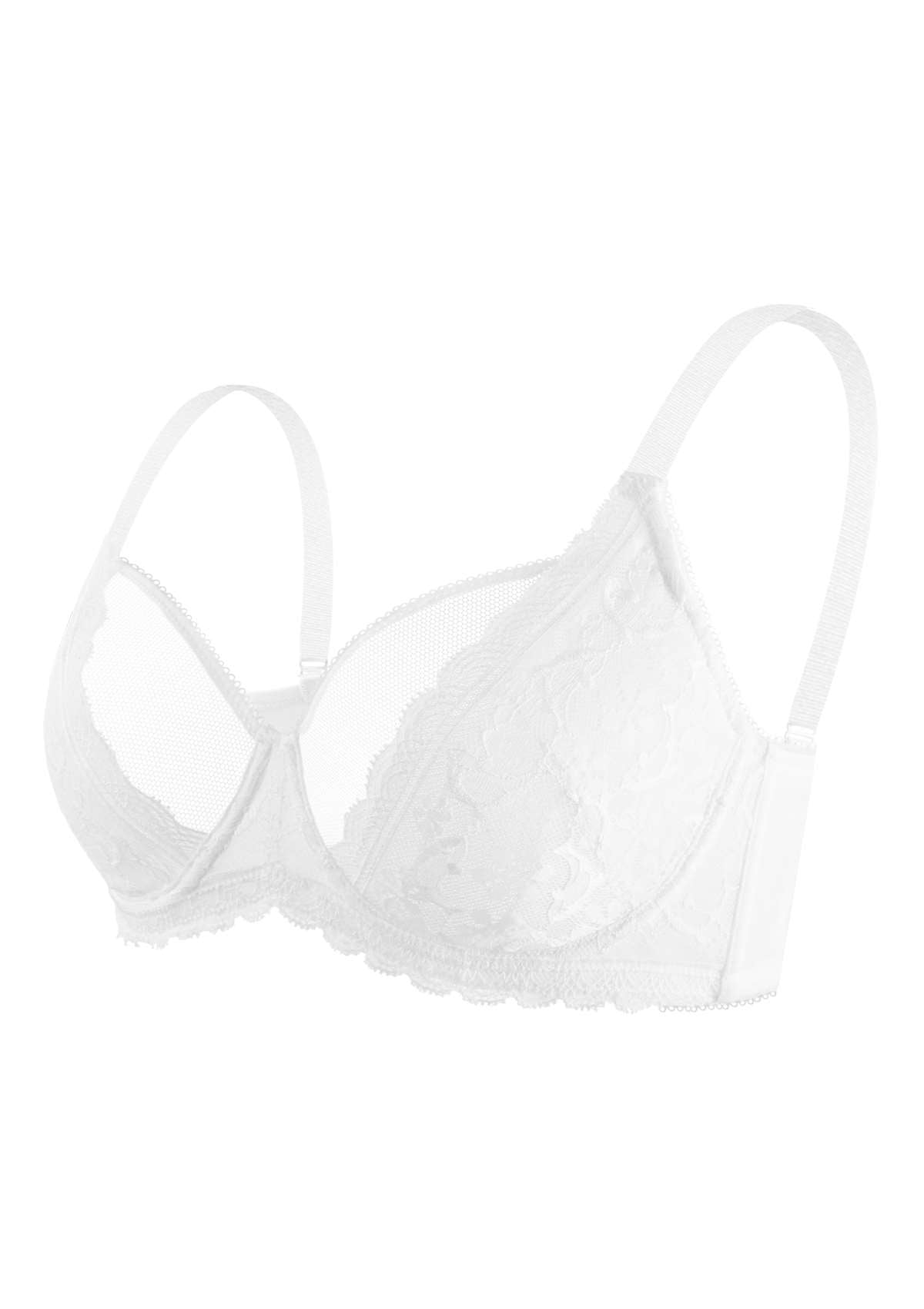 Anemone Unlined Dolphin Lace Underwire Bra