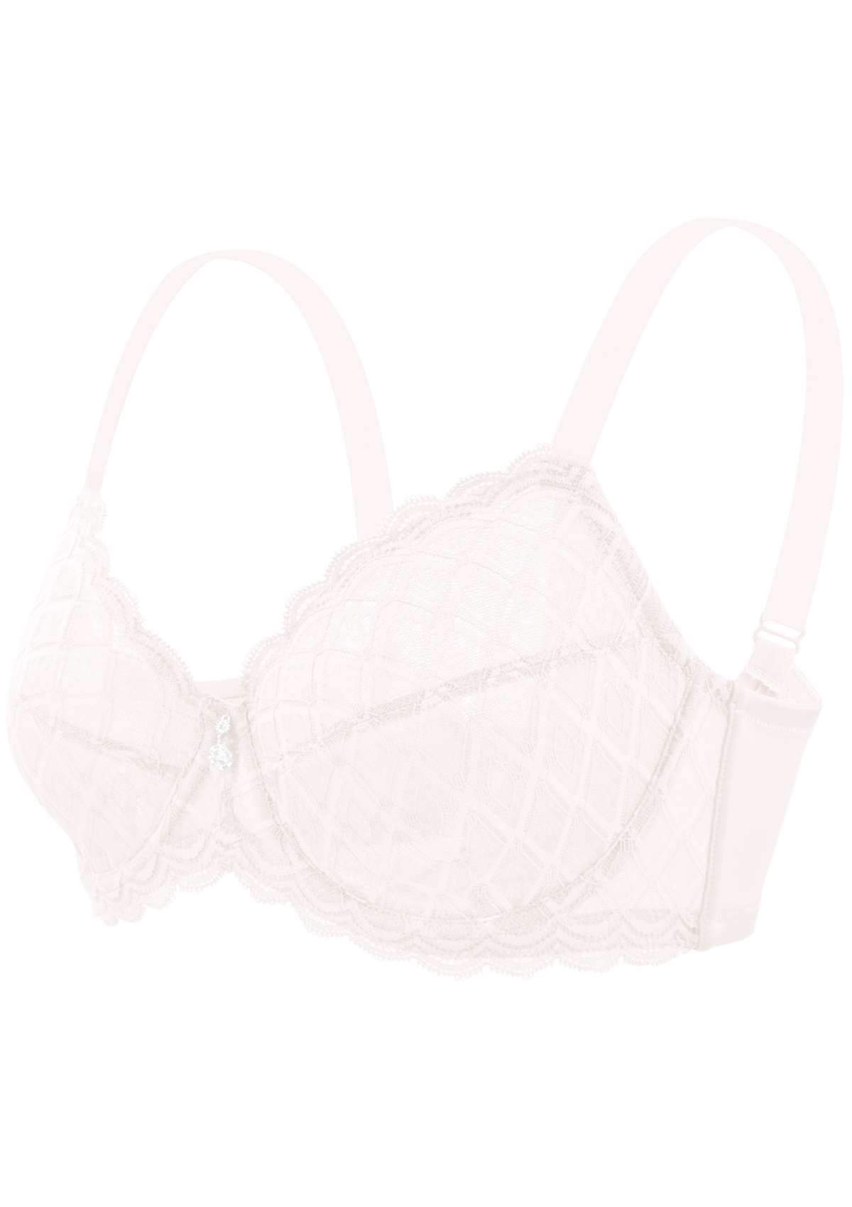 HSIA Plaid Lace Underwire Bra