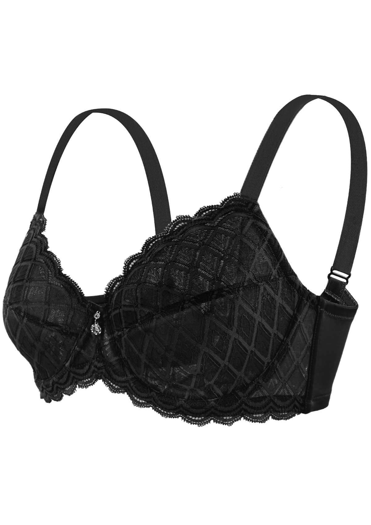 HSIA Plaid Lace Underwire Bra