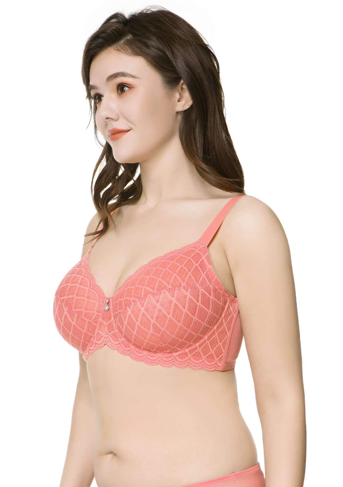 HSIA Plaid Lace Underwire Bra