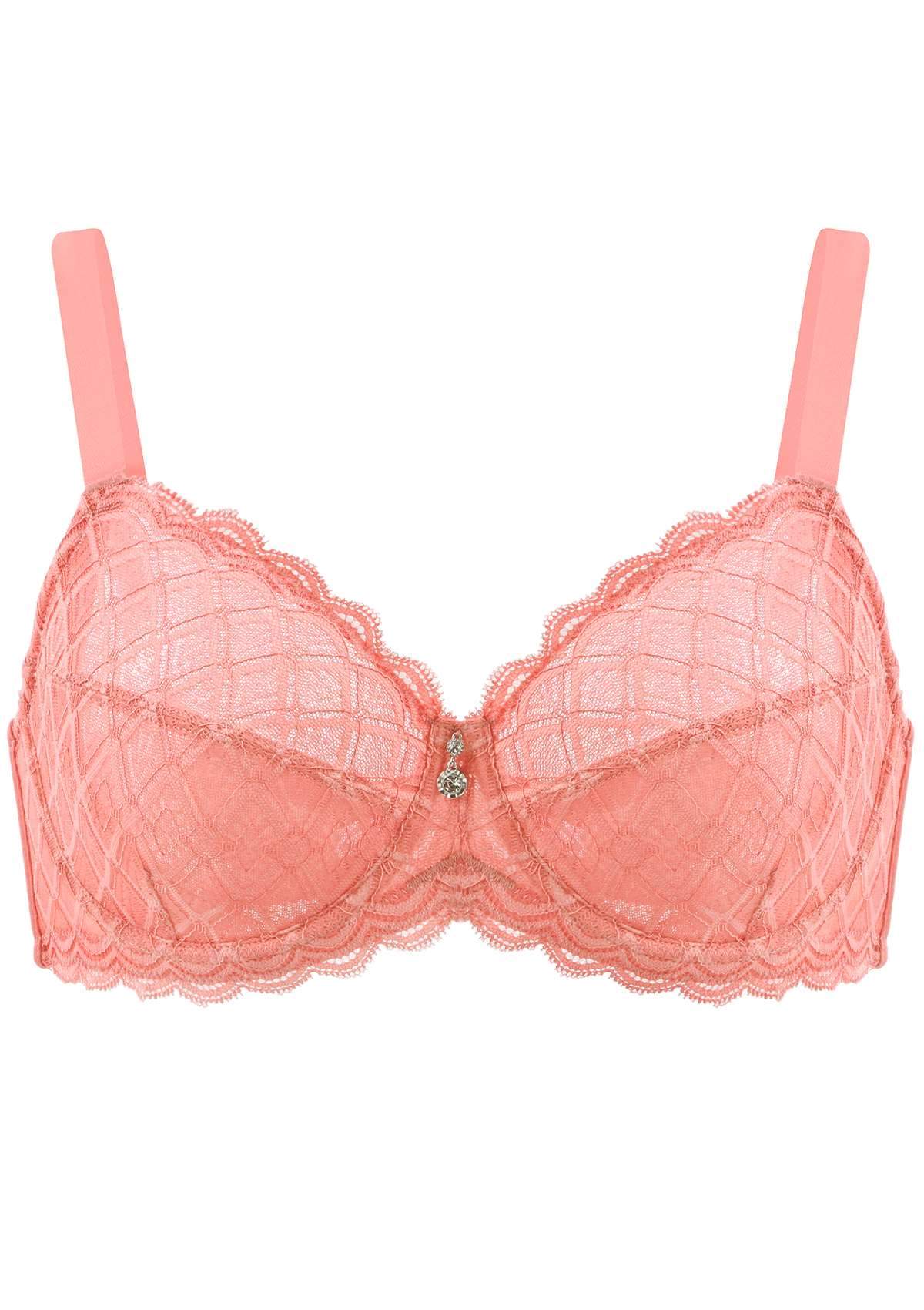 HSIA Plaid Lace Underwire Bra