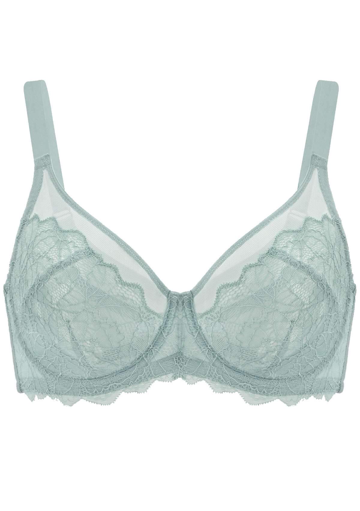 Wisteria Lace Underwire Bra